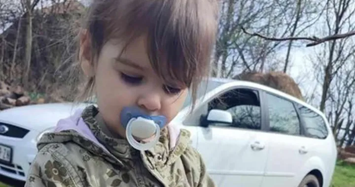 Danka Ilić je zvjerski ubijena/