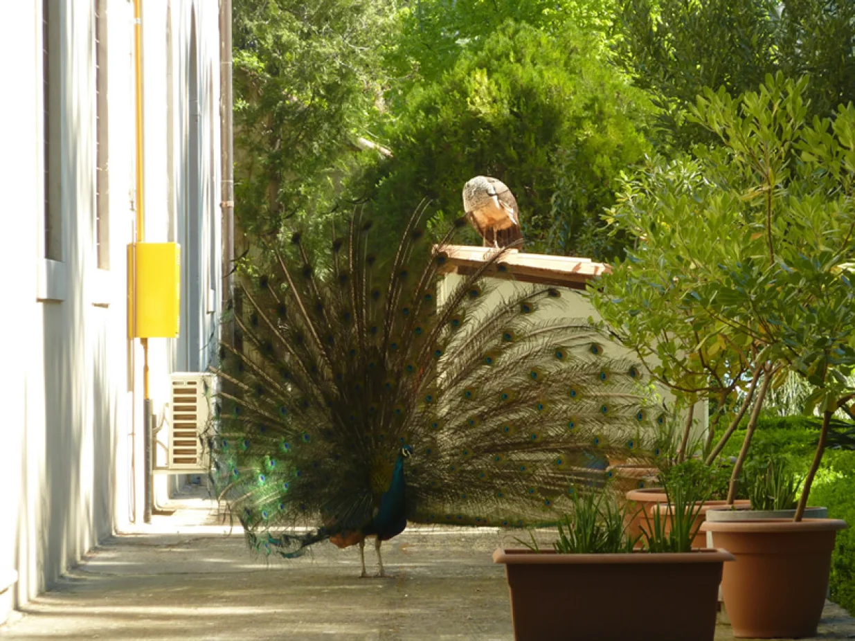 Otok Visovac u Hrvatskoj//