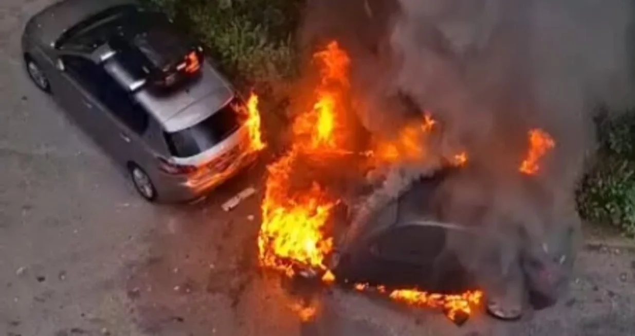 Intervenirali vatrogasci/Printscreen/Crna-Hronika//