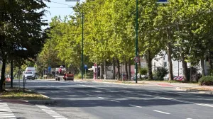 Obnovljena saobraćajnica na Dobrinji//