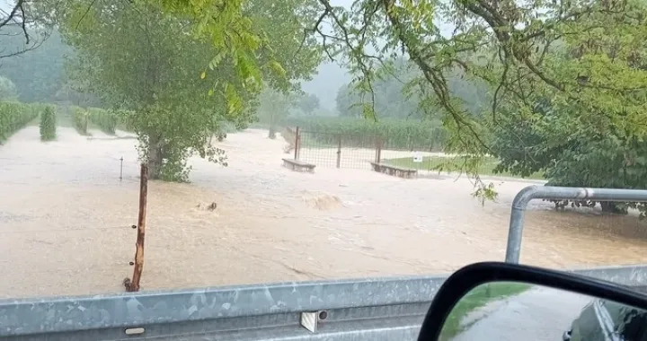 istra, kiša Facebook/Facebook