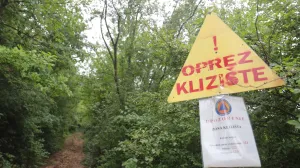 Curine njive juli/Senad Gubelić