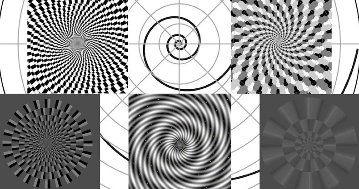 Krugovi se vrte ili ne?/