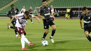 Adem Ljajić/Foto: Picasa