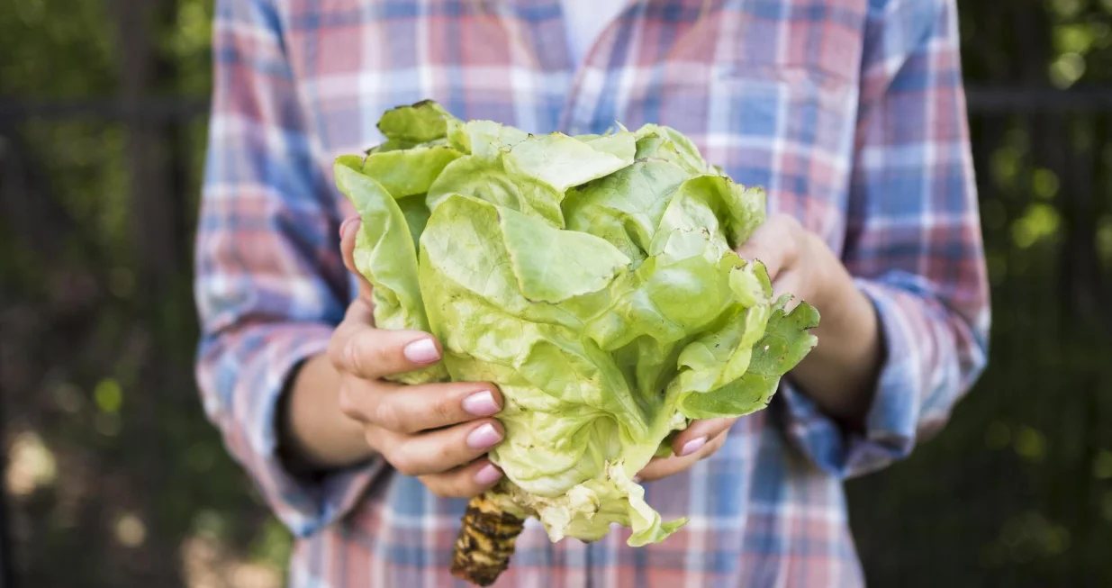 Skida salo sa stomaka kao od šale/Free Pik