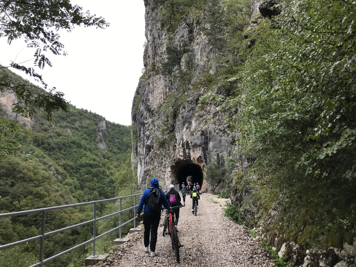 tragom Ćirine pruge/Tanja Cerić