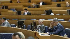 Predstavnički dom PSBiH/Fena