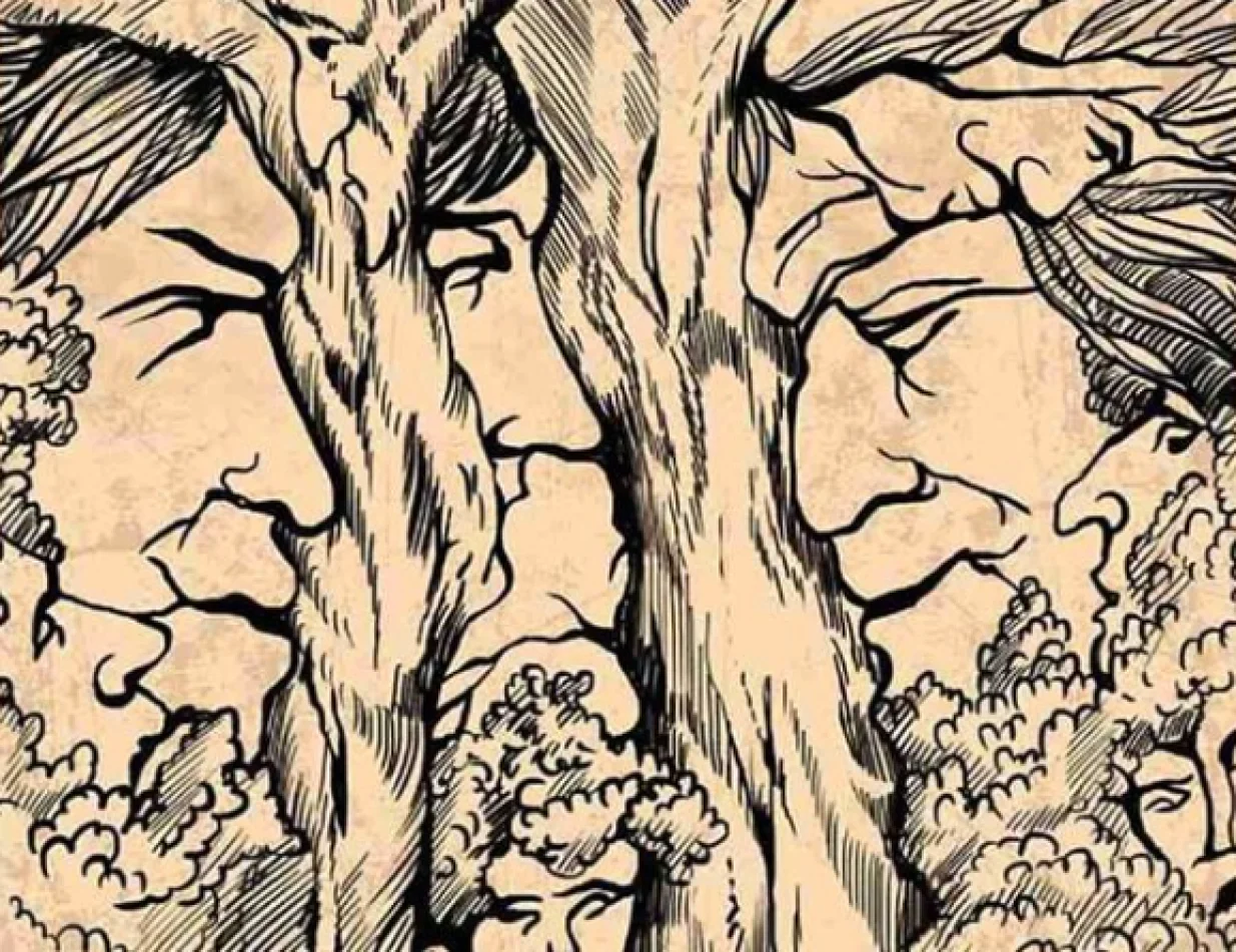 Pinterest mozgalica/Pinterest