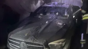 Velika materijalna šteta/Fena//