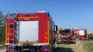 Intervenirali vatrogasci/Printscreen/Telegraf.rs//