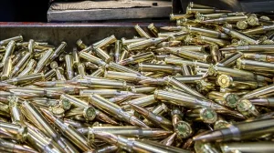 / Ilustracija/Anadoljija/Anadolija