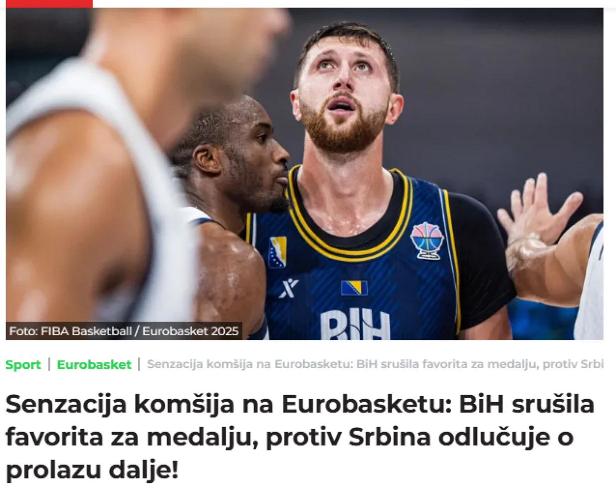 Članak Telegrafa/Foto: 