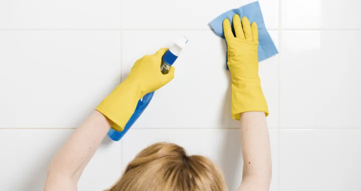 Brisanje plijesni nikad nije bilo lakše/Free Pik