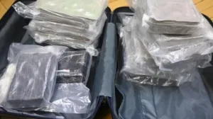 Oduzeta droga/LPD Wien//