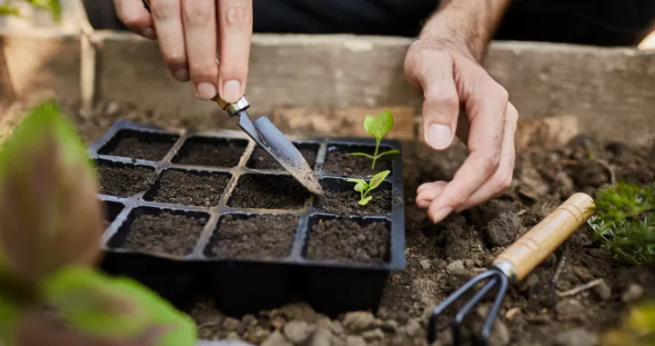 Crna zemlja – zlatna pravila/Free Pik