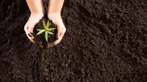 Prirodna zaštita bez hemije/Free Pik