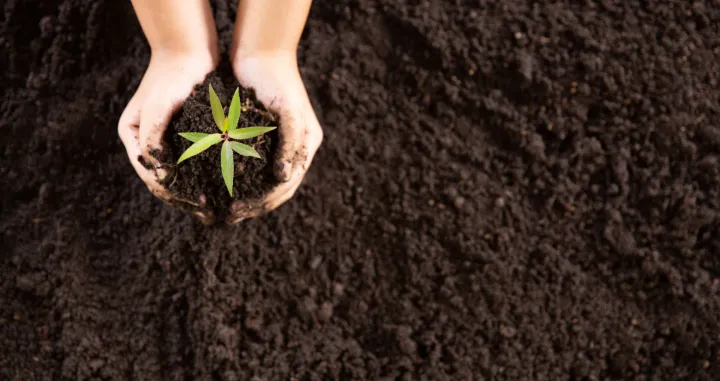 Prirodna zaštita bez hemije/Free Pik