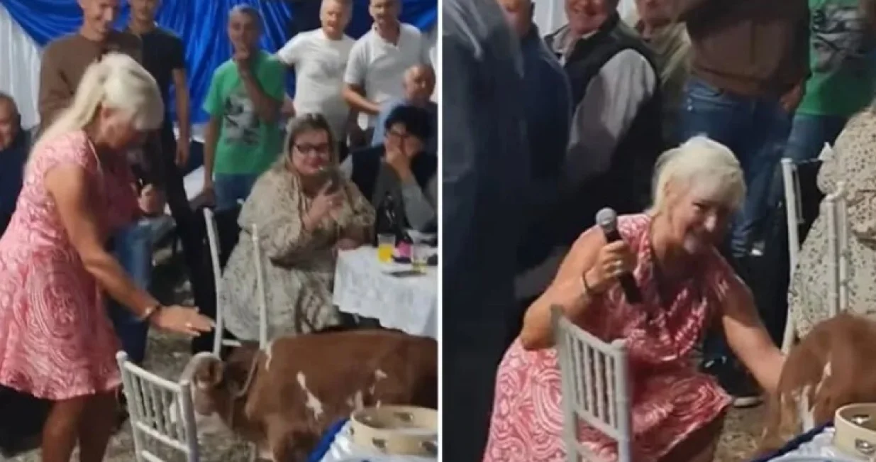 Nesvakidašnja situacija/Printscreen/Instagram//