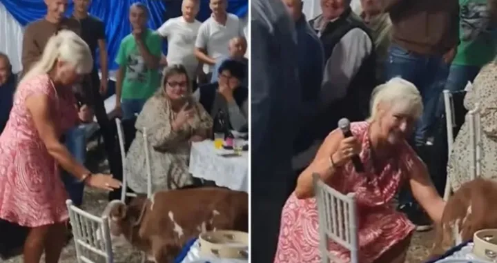 Nesvakidašnja situacija/Printscreen/Instagram//