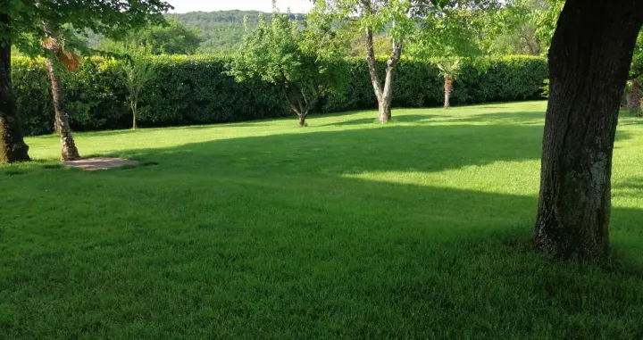 Jednostavan, ali elegantan vrt/