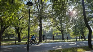 sunčano jesen vils/Lejla Sofradžija