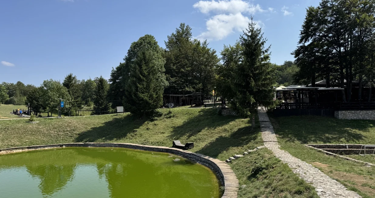 Javor Wood Festival pretvara planinu u galeriju pod otvorenim nebom/Nihad Katica