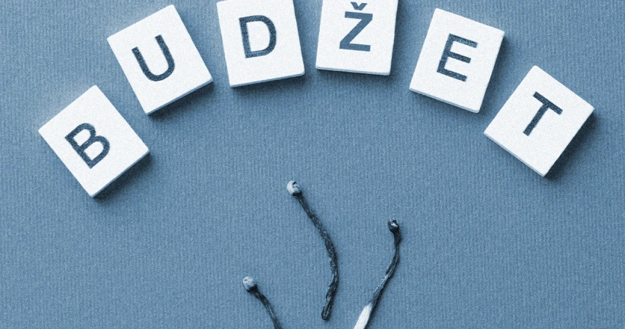 Vizual za kolumnu Zlatka Dukića, budžet/Benjamin Krnić