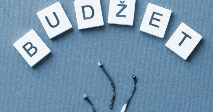 Vizual za kolumnu Zlatka Dukića, budžet/Benjamin Krnić