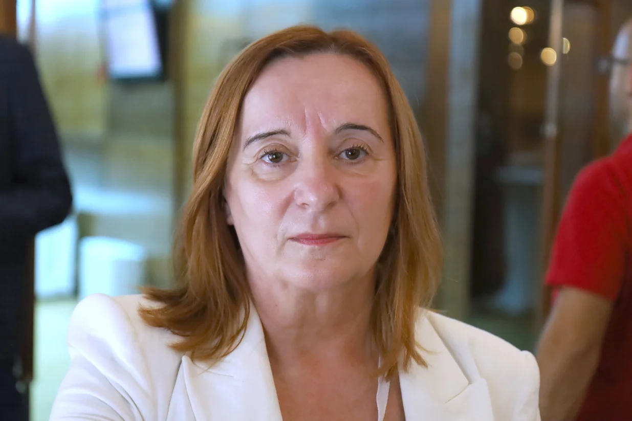 Tanja Topić politička analitičarka/Senad Gubelić