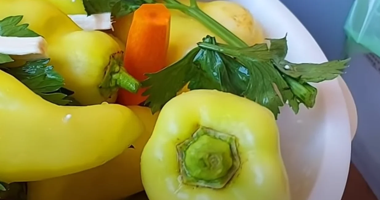 turšija ilustracija/