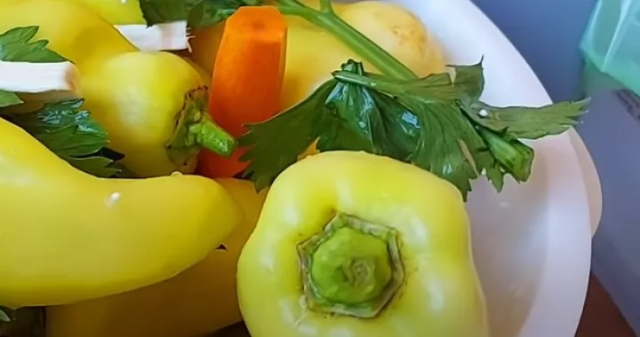 turšija ilustracija/