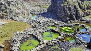Vulkanski otok koji raste iz mora: Brusnik, prirodno čudo usred Jadrana/Screenshot
