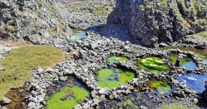 Vulkanski otok koji raste iz mora: Brusnik, prirodno čudo usred Jadrana/Screenshot