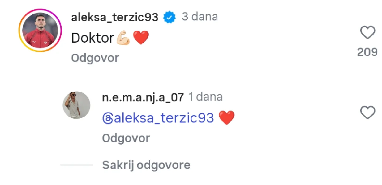 Terzić komentarisao objavu Alajbegovića (FOTO: Instagram)/Foto: 