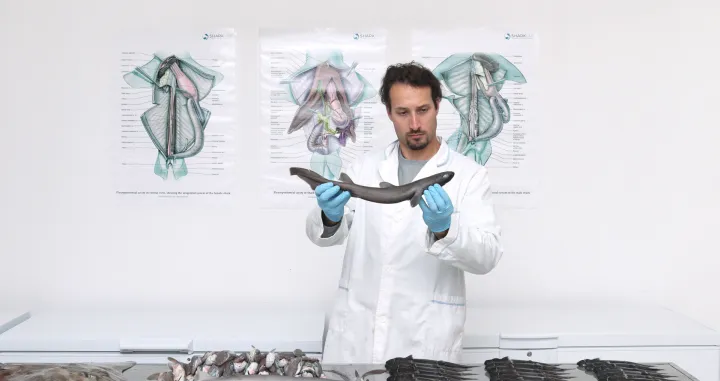 Istraživanje predvođeno dr Andrejem Gajićem/