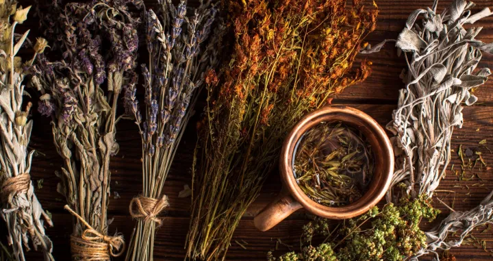 Mediteransko bilje//