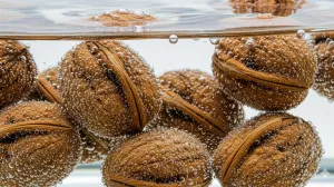 Imaju veliku zdravstvenu korist/Ilustracija