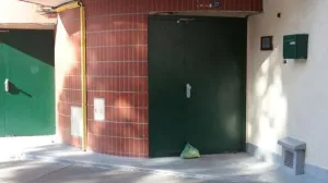 Svinjska glava, džamija, Francuska/