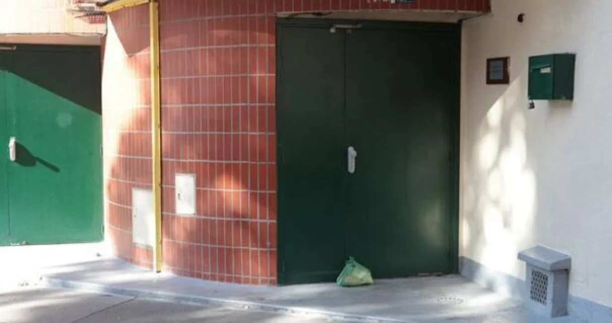 Svinjska glava, džamija, Francuska/