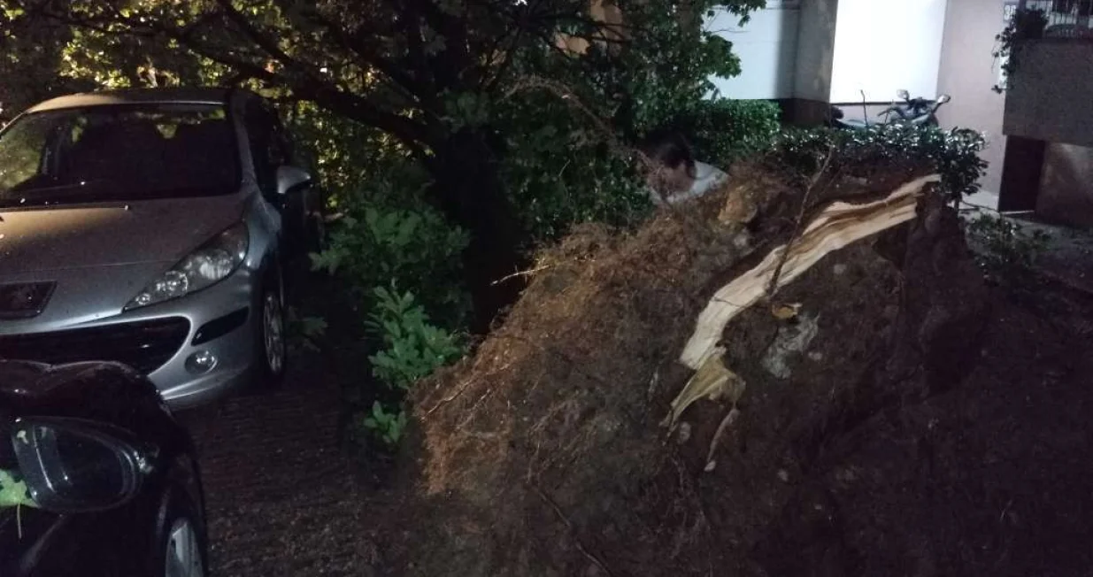 Nevrijeme u Mostaru/Mario Obrdalj/Fena/Mario Obrdalj