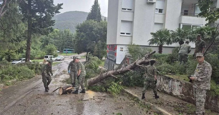 Pripadnici OS BiH/MO BiH//