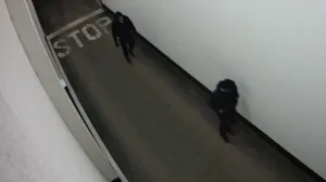 Objavio novi snimak/Printscreen/You Tube/BN TV//