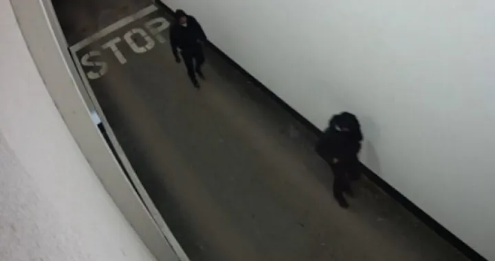 Objavio novi snimak/Printscreen/You Tube/BN TV//