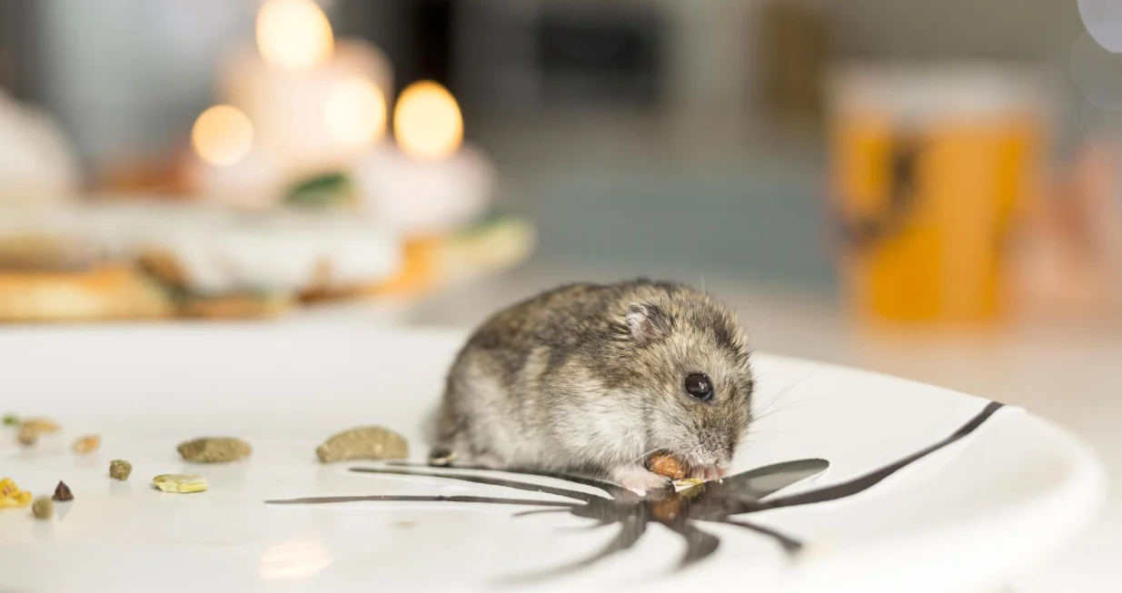 Ne ostavljajte ovo u kuhinji/Free Pik