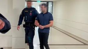 Osuđen državljanin BiH/Printscreen/krone.at//