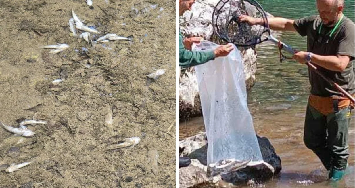 Pomor ribe u Neretvi/Osr Konjic