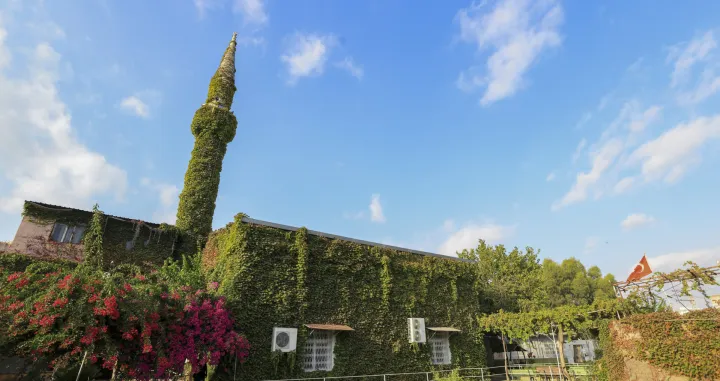 ADANA, TURSKA, 2. SEPTEMBAR: DЕѕamija Koprukoy u turskoj Adani, poznata kao "zelena dЕѕamija" zbog brЕЎljana koji prekriva njene vanjske zidove i minaret, privlaДЌi paЕѕnju posjetilaca svojim jedinstvenim spojem arhitekture i prirode.Turski grad Adana moЕѕe se pohvaliti prirodnim ljepotama, arhitekturom i historijskim znamenitostima. No, Adana je poznata i po svojim dЕѕamijama, a najveД‡u paЕѕnju prolaznika privlaДЌi "zelena dЕѕamija". Ime je dobila po tome ЕЎto su njeni zidovi obrasli zelenilom. (Д°smail Duru - Anadolu Agency)/