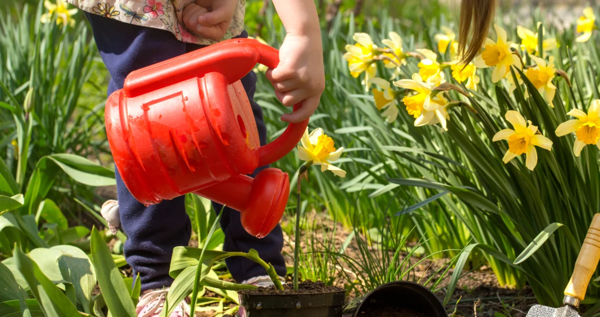 Bašta u augustu ne mora stradati/Free Pik