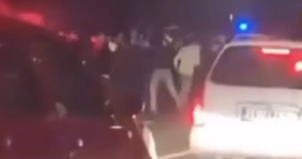 Delije Grobari navijački sukob/Foto: 