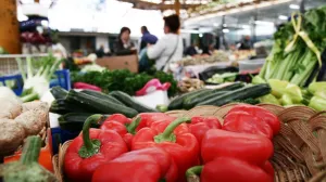 Visoke cijene povrća i voća/Ilustracija/Fena//